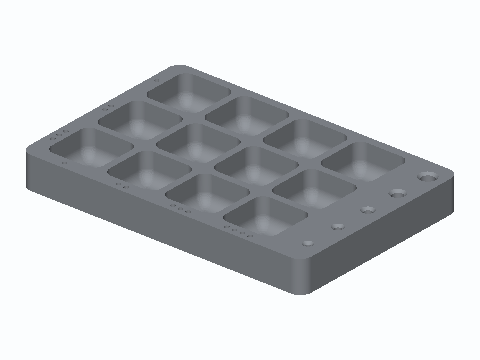 Twelve-Well Teardown Screw Tray