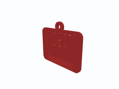 USA 250 Keychain